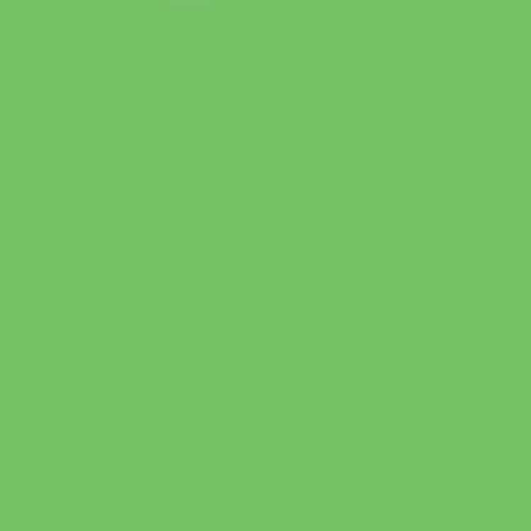 Holbein Artists Gouache 15ml Permanent Green Light