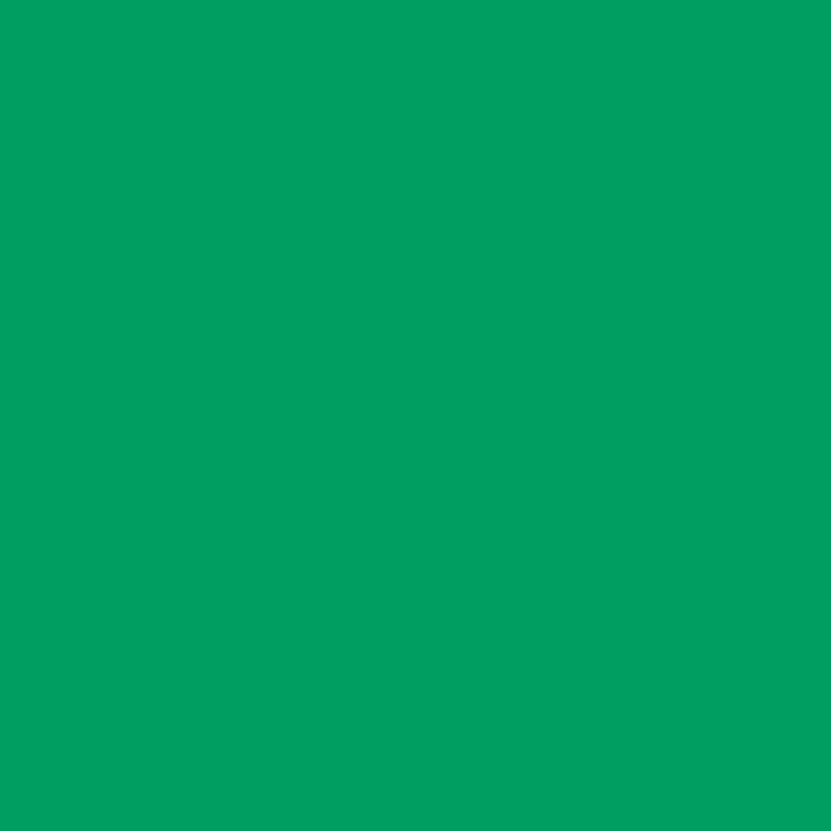 Holbein Artists Gouache 15ml Emerald Green