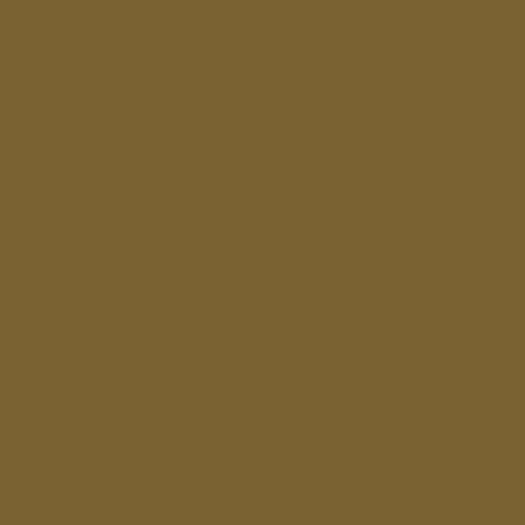 Holbein Artists Gouache 15ml Raw Umber