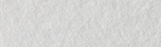 Cosmos Blotting Paper 12x19
