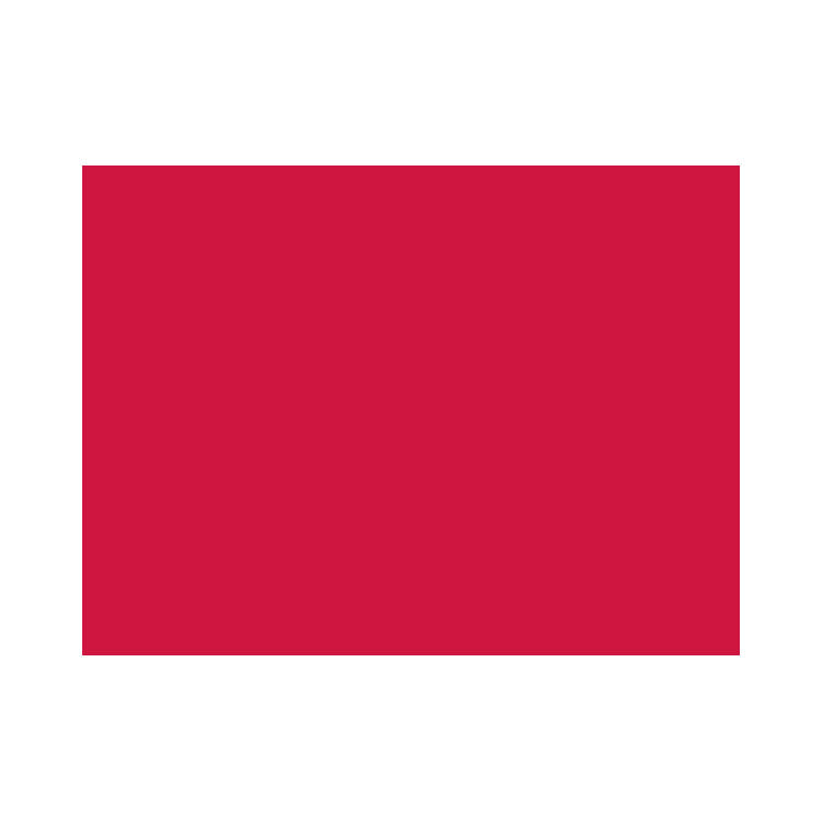 Procion Fabric Reactive Dye 2/3oz Carmine Red