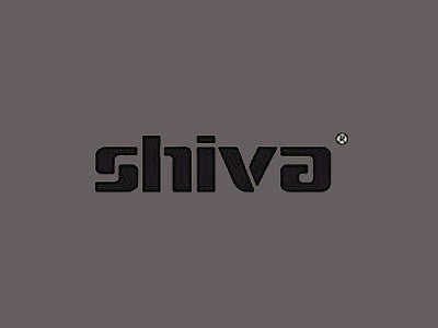 Shiva Paintstik Pewter Gray