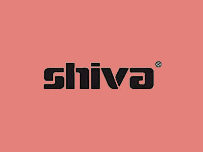 Shiva Paintstik Dusty Rose