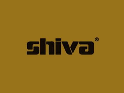 Shiva Paintstik Yellow Ochre