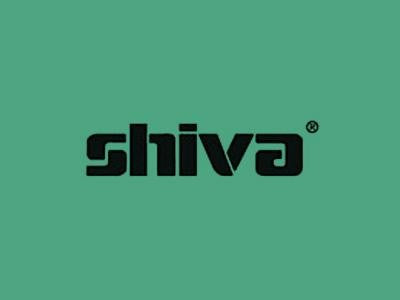 Shiva Paintstik Turquoise