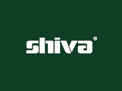 Shiva Paintstik Olive Green