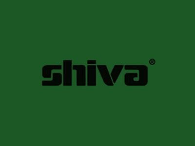 Shiva Paintstik Sap Green