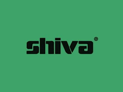 Shiva Paintstik Viridian