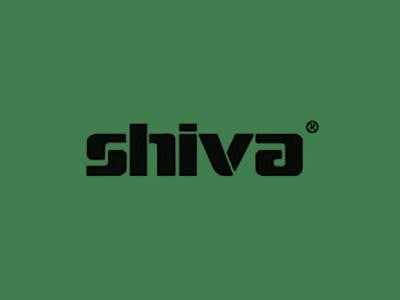 Shiva Paintstik Celadon Green