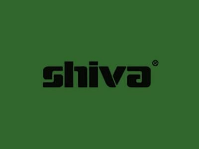 Shiva Paintstik Meadow Green