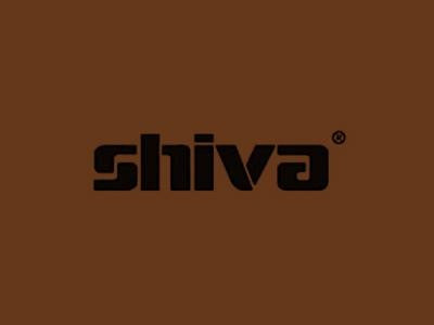 Shiva Paintstik Burnt Sienna