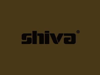 Shiva Paintstik Burnt Umber