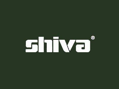 Shiva Paintstik Raw Umber