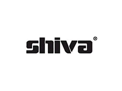 Shiva Paintstik Iridescent Blender