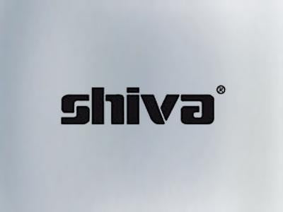 Shiva Paintstik Iridescent Silver