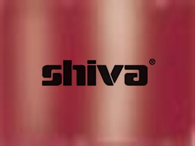 Shiva Paintstik Iridescent Copper