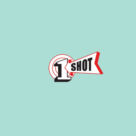 1 Shot Enamel Lettering Paint 1/4 Pint Robins Egg Blue ⚠️