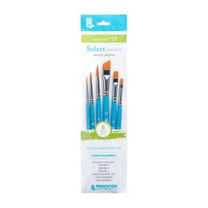 Princeton Value Brush Set #22