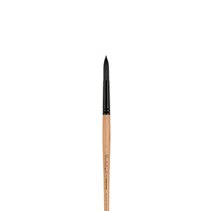 Princeton Catalyst Polytip Round 4 Long Handle