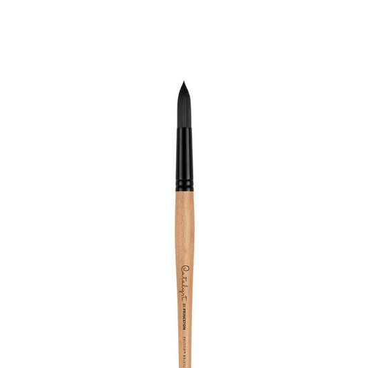 Princeton Catalyst Polytip Round 8 Long Handle