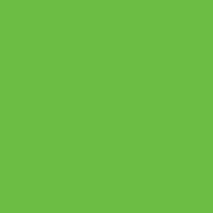 PC920 Prismacolor Premier Colored Pencil Light Green