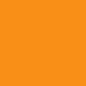 PC918 Prismacolor Premier Colored Pencil Orange