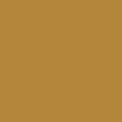 PC1028 Prismacolor Premier Colored Pencil Bronze