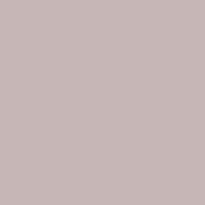 PC1070 Prismacolor Premier Colored Pencil French Gray 30