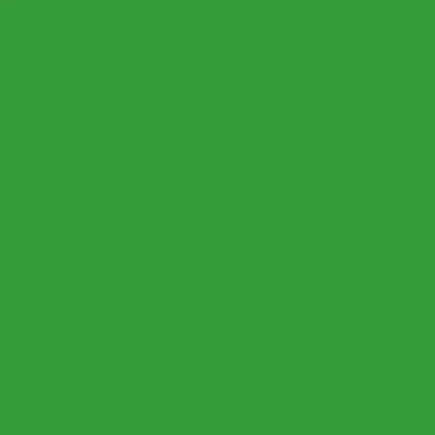 PC1096  Prismacolor Premier Pencil Kelly Green Box of 12