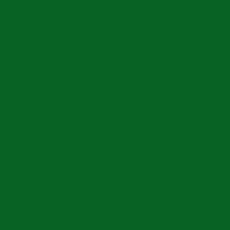 Gelly Roll Medium Green