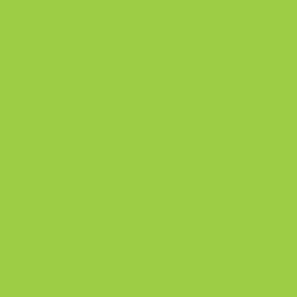 Woody Pencil Leaf Green