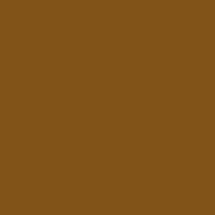 Stabilo Woody Pencil Burnt Umber 5 Pack