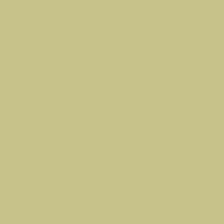 Stabilo Woody Pencil Gold 5 Pack