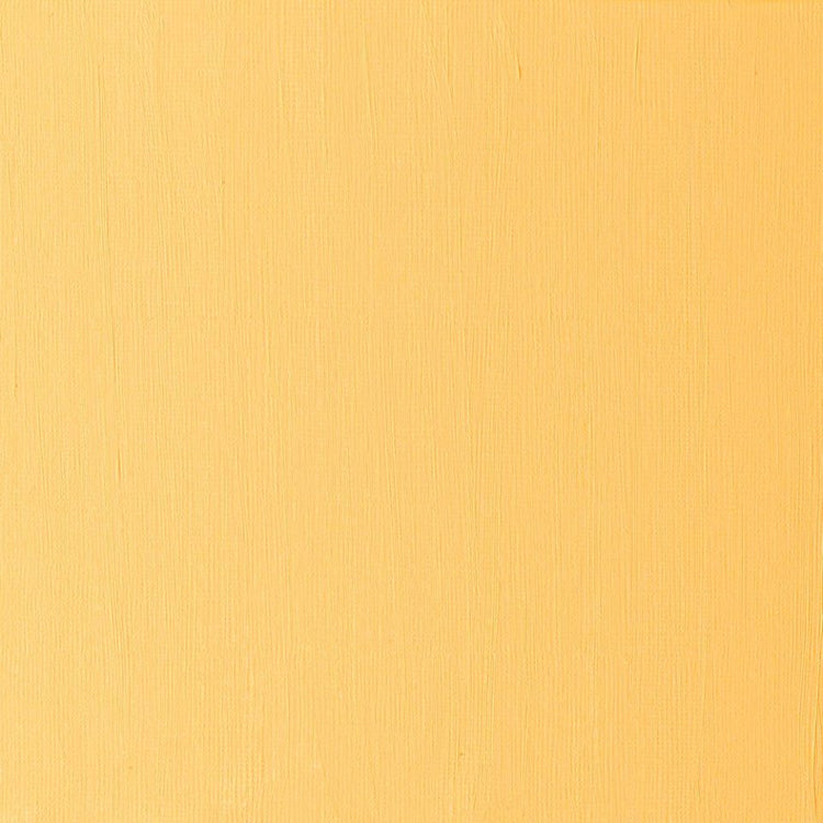 Winsor Newton Artists OIl Color 37ml Cadmium Free Yellow