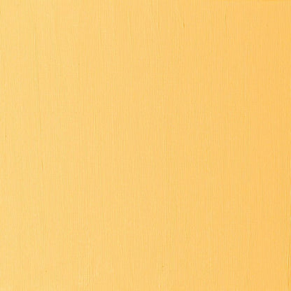 Winsor Newton Artists OIl Color 37ml Cadmium Free Yellow