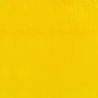 Winsor Newton Artists Oil Color 37ml Cadmium Free Lemon