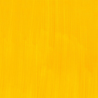 Winsor Newton Artists Oil Color Cadmium Free Yellow Pale